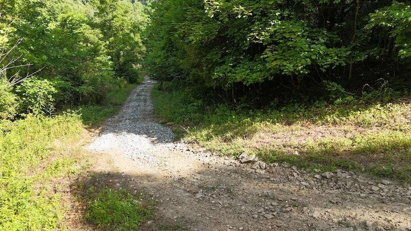 DJI_20250712102723_0782_D