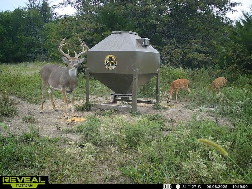 864049055449112-100-2-09082025194332-HD-SYEW6151