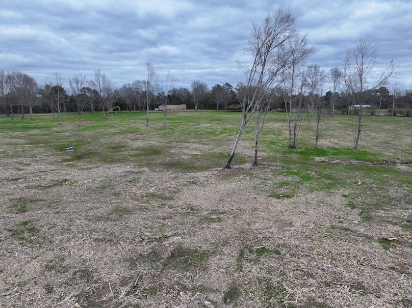 Copy of dji_fly_20260217_143914_0158_1771436902893_photo