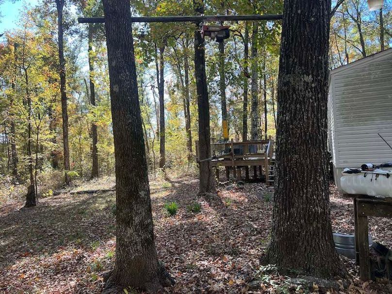 jeff 5020251111_0323