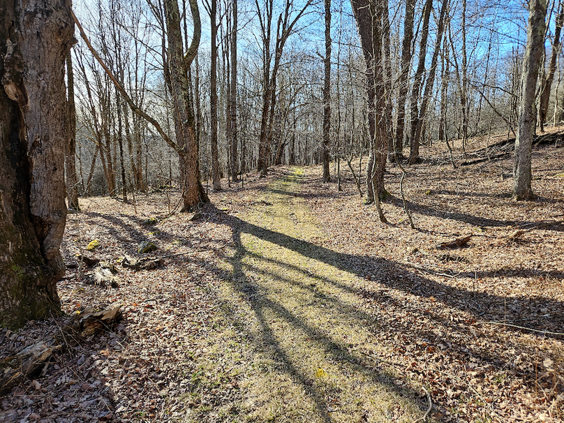 photo_68a01d2a-197e-4a3a-8eb5-e0f1f838c72a