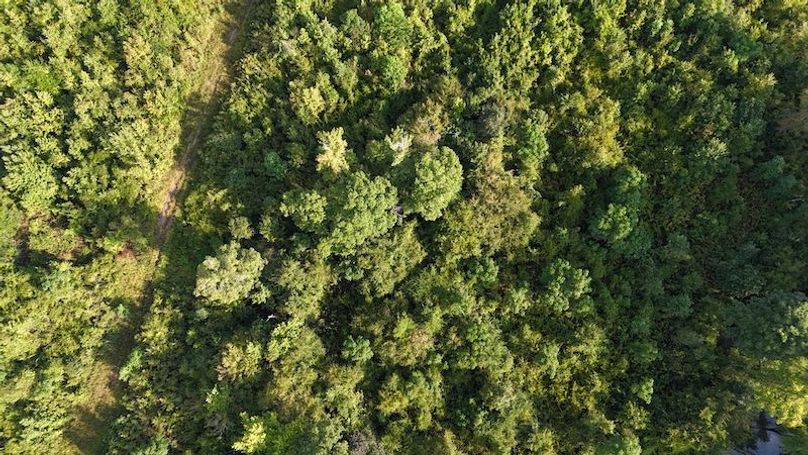 DJI_20250814085155_0055_D