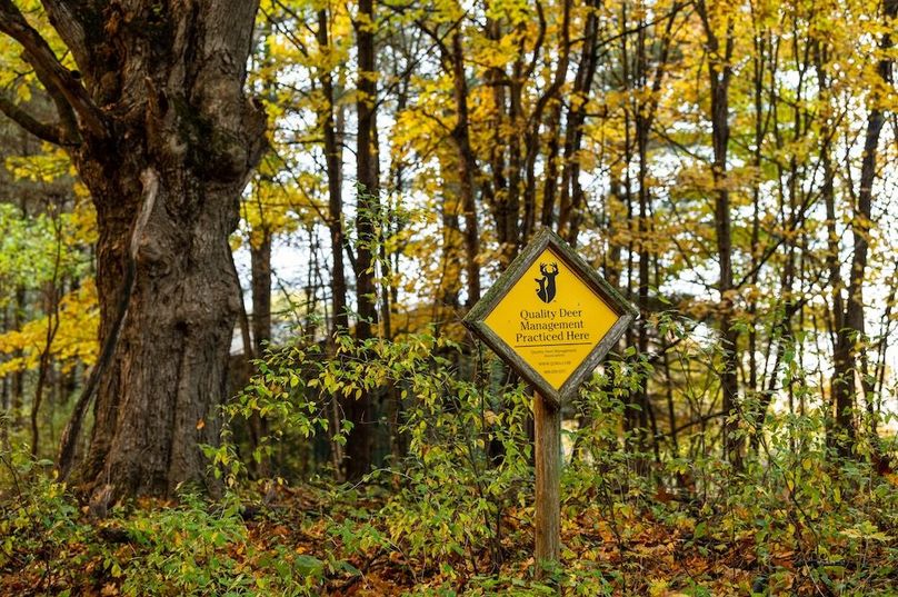 qdma