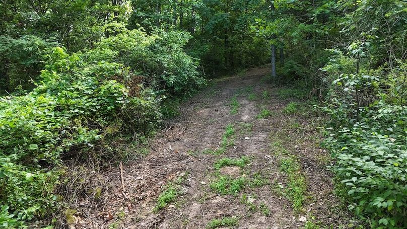 DJI_20250712093713_0755_D