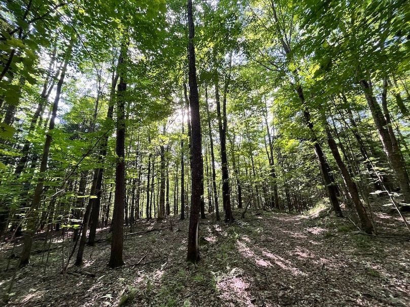 Jefferson_260.3_ Lobach_Photos_67