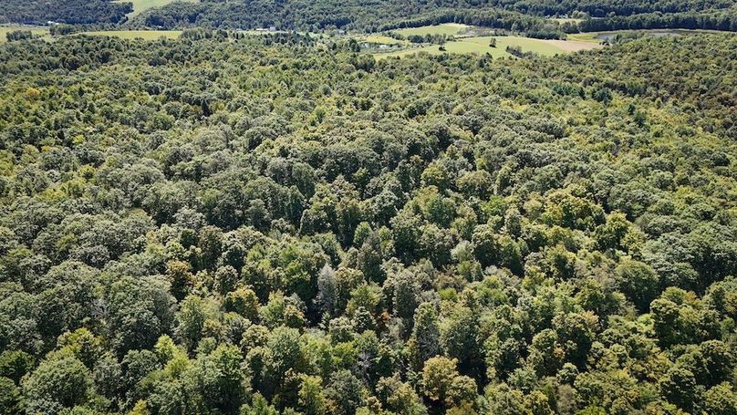 Tioga NY 64 Shores 19