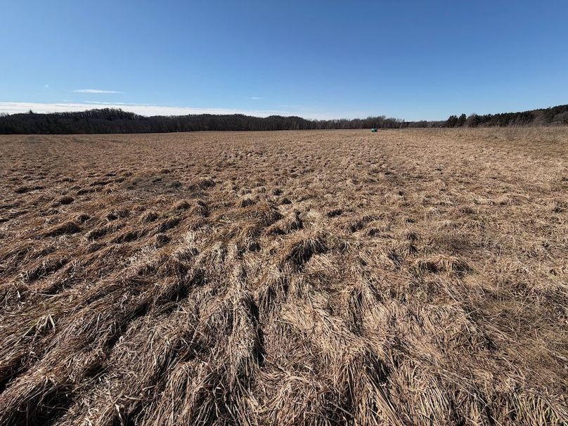 Jackson 27 Pics - 16