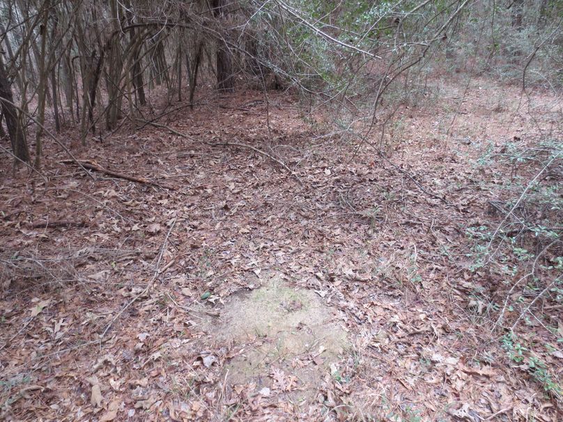 6AD7C767-146F-4A03-B00D-544DD36B9448