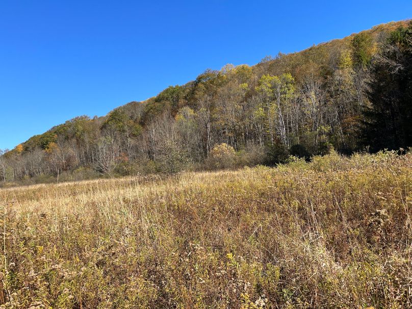 Schuyler_25.155_Ennis_Photos_13