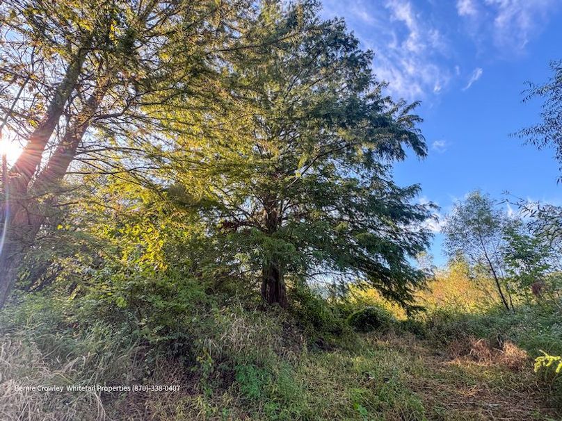 DeSoto 109 Prewett -6