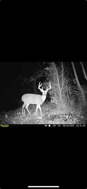 Screenshot 2026-01-09 at 12.40.34 PM