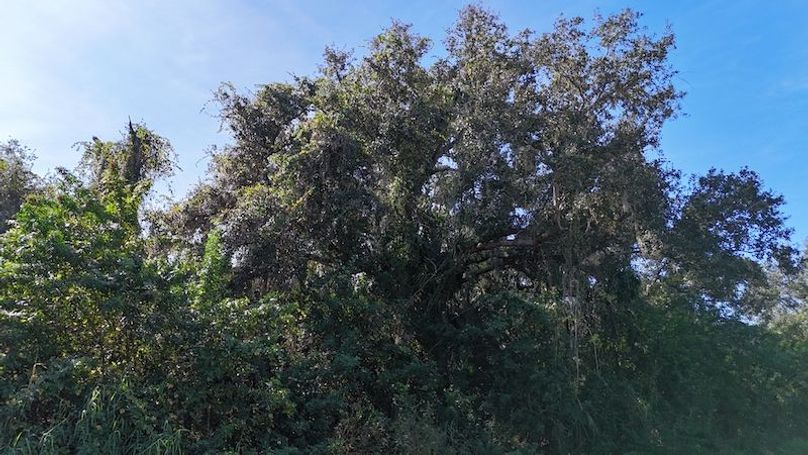 DJI_20251204112325_0039_D