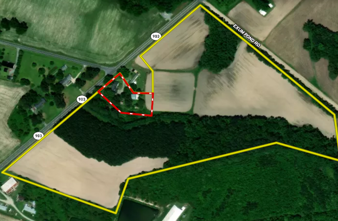 Screenshot 2026-02-18 081746