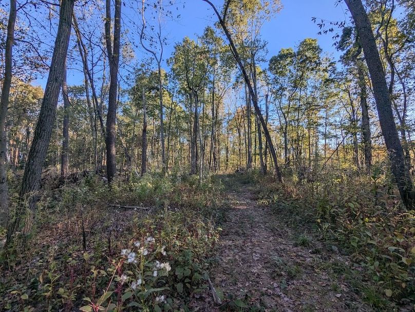 PXL_20251001_215315950