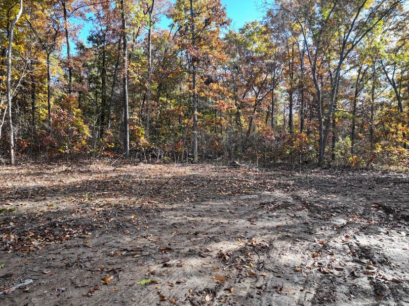 DJI_20251102094400_0819_D