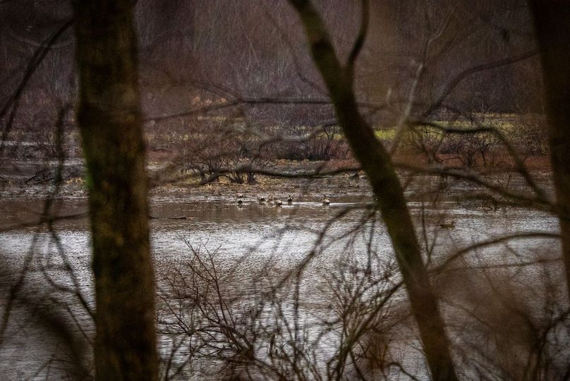 St Clair IL 263.95 Featured_Pro Photo-77