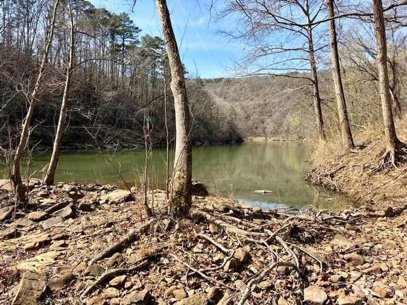 EE3017DA-5685-4AC9-8FF8-0CF500489EBD_1_105_c