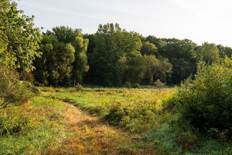 Lapeer MI 170 Featured_Pro Photo-105