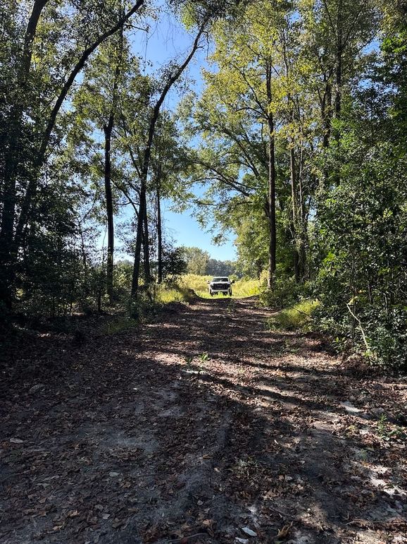 DJI_20251003_105618_269