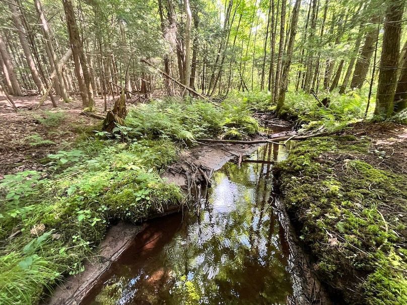 Oswego_133.72_Middleton_Photos_51