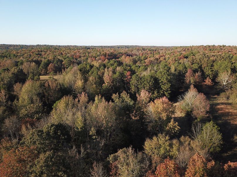 DJI_0082