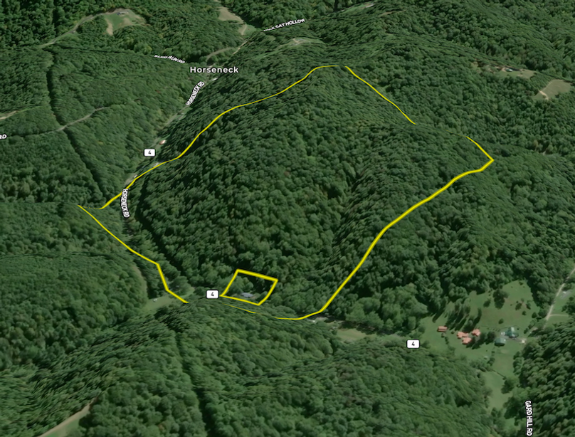 Screenshot 2026-02-08 at 10.40.01 AM