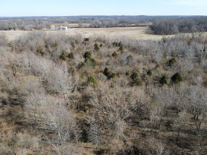 vandalia 450 (2)-1803