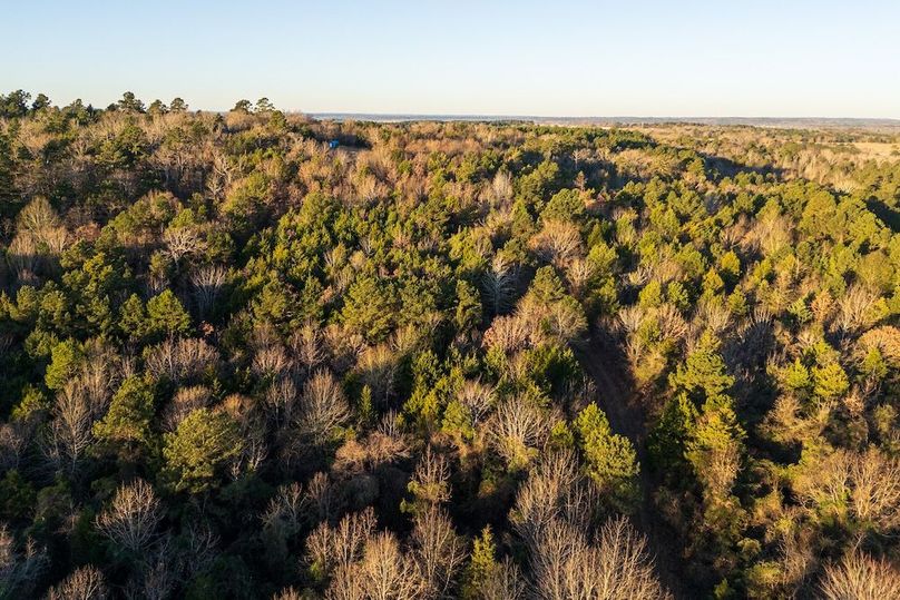 DJI_20260116075817_0032_D