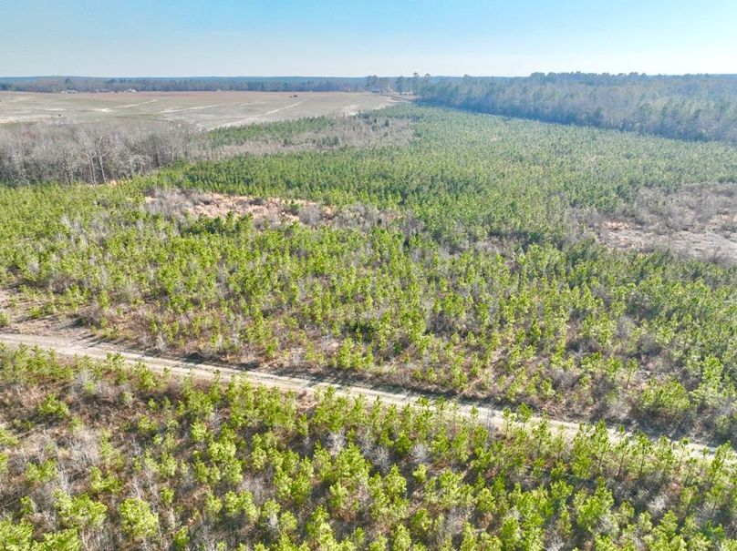 dji_fly_20250225_160914_456_1740517920465_photo