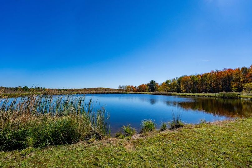 44868WarnerGROUND-26