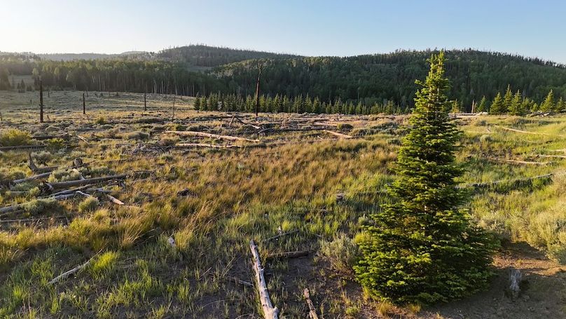 DJI_20250627201936_0084_D
