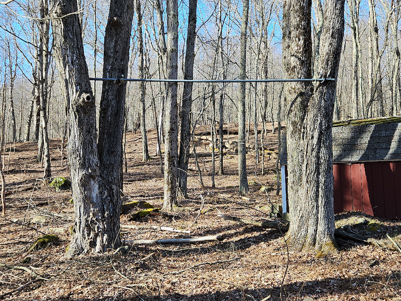 photo_fd5def3b-f3f0-432a-969b-4423c1ebb396