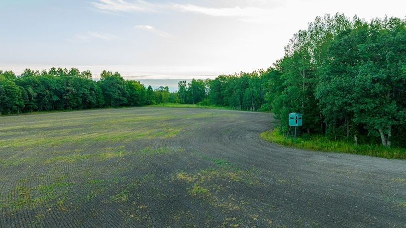 Cass MN 1095 Featured ProPhoto-53