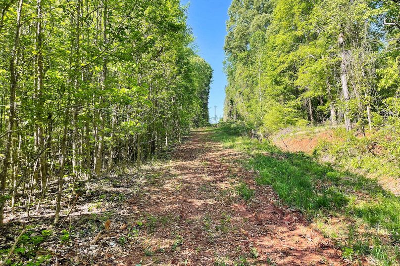 28 Trail 09