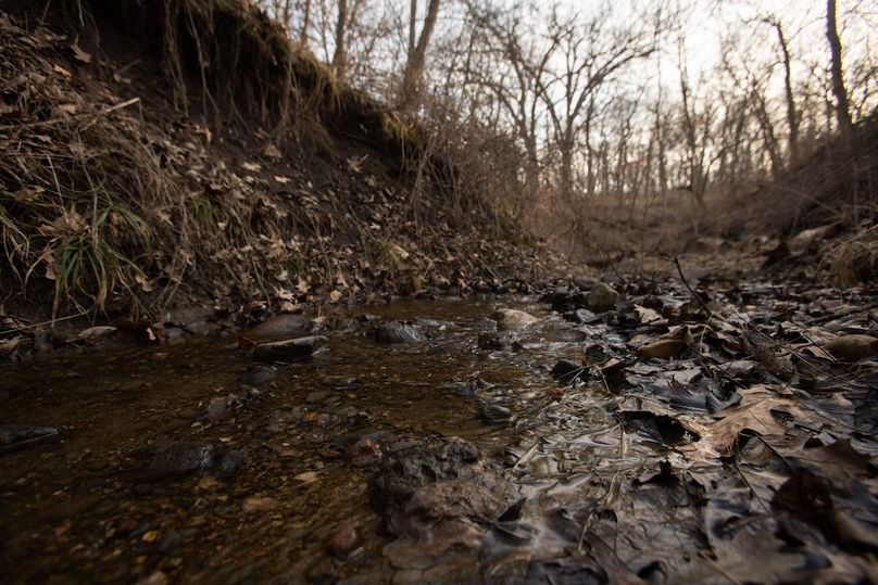 PAGE CO IA 130+_-_34