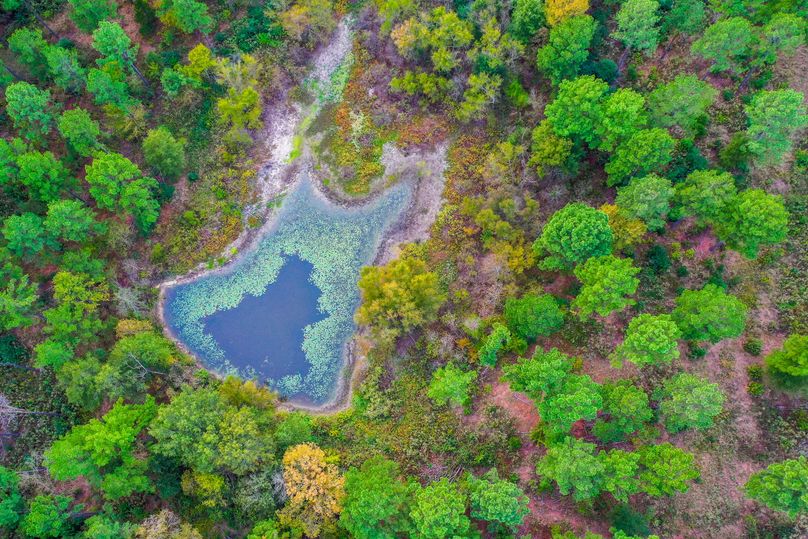 12 Upshur Co 603 ac Weise