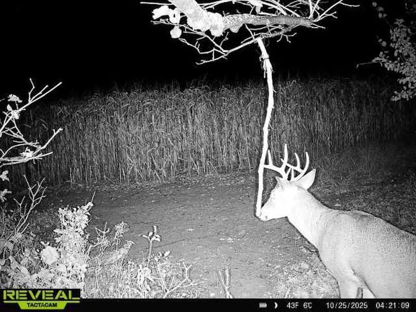 865814043293958-100-3-10252025042110-W1002439