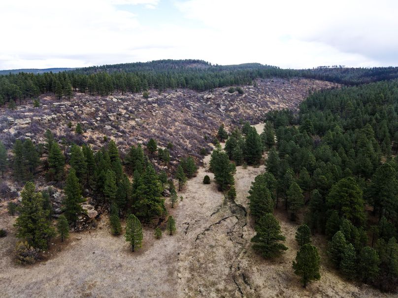 dji_fly_20230515_151700_717_1684185544014_photo