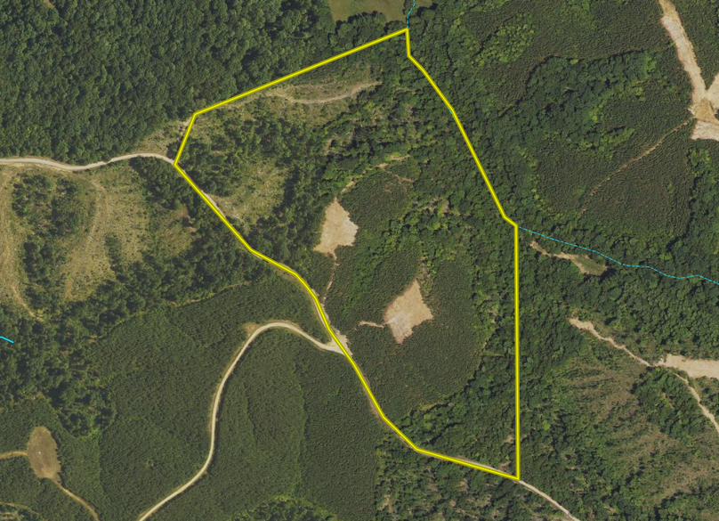 Screen Shot 2023-07-14 at 3.34.52 PM