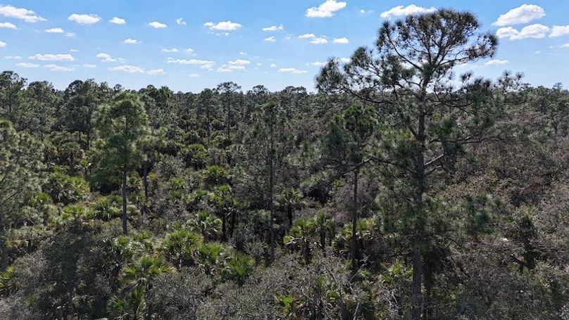 DJI_20251121124819_0034_D