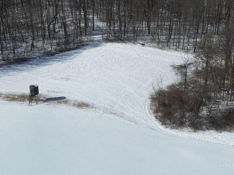 DJI_20260207115304_0011_Z