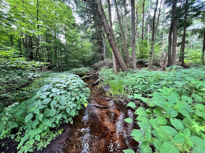 Oswego_133.72_Middleton_Photos_28