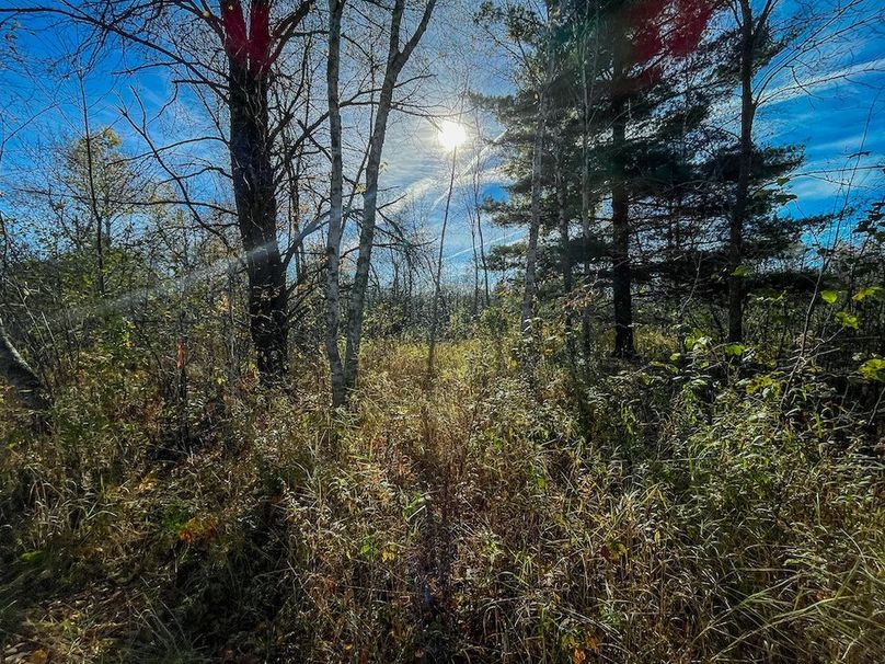 Clark 24.75 Winkel -21