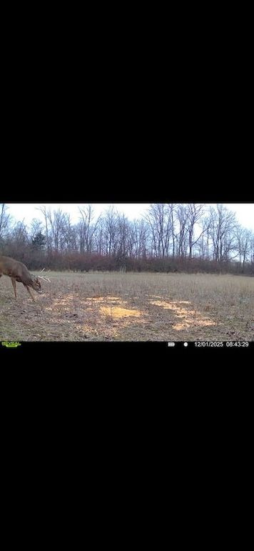 Screenshot 2026-02-27 at 4.05.06 PM