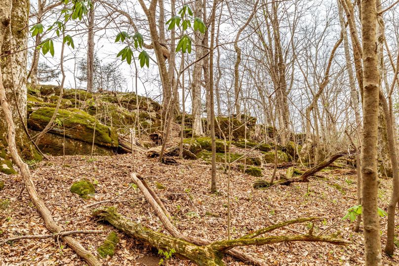 36-web-or-mls-Wolf Hill-14