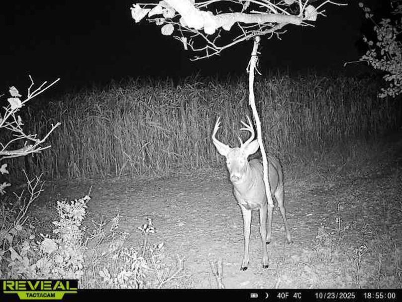 865814043293958-100-3-10232025185500-W1002371