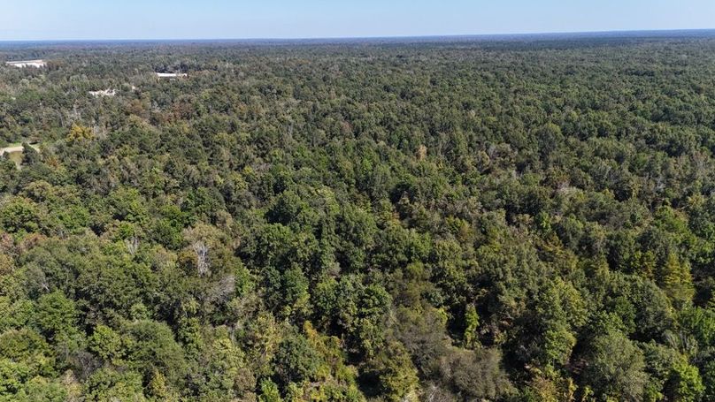 dji_fly_20251015_011110_0071_1760476834919_photo