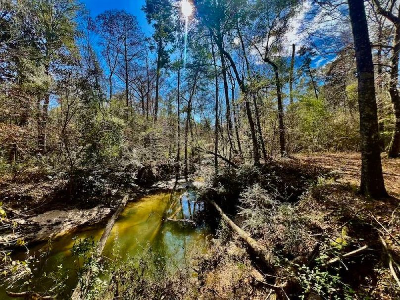 68E1C9E6-C746-45EC-875F-1507BDE83921_1_201_a