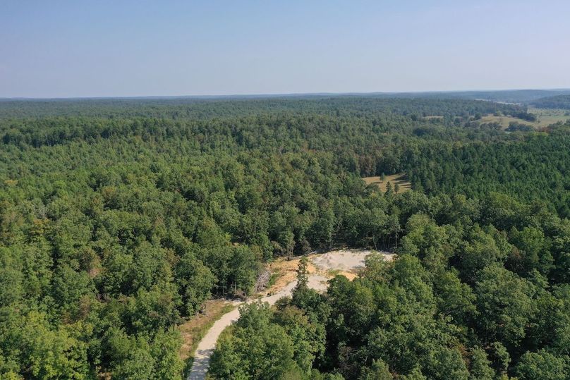 DJI_0181