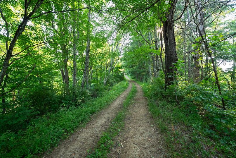 Wetzel WV 171 Featured_Pro Photo-41